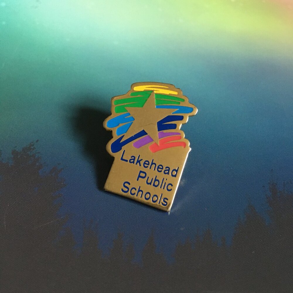 Reto VTG 90s Lakehead Public Schools Rainbow Star Lapel Pin Gold Tone Enamel
